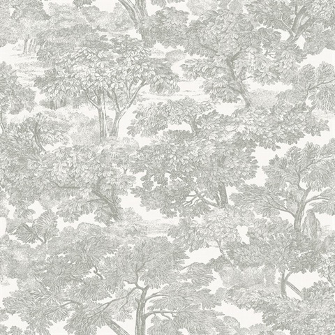 Spinney Grey Toile