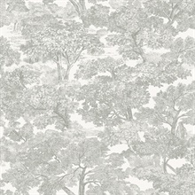 Spinney Grey Toile