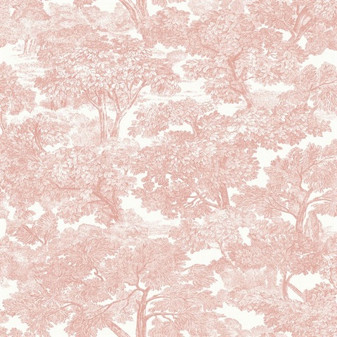 Spinney Rose Toile