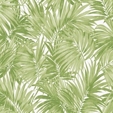 Spring Green Cordelia Tossed Palms Wallpaper