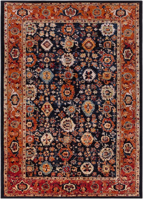 SRP1003 Serapi Area Rug
