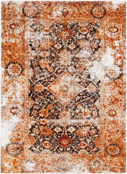 SRP1013 Serapi - Area Rug