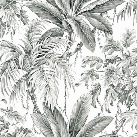 St Andrew Ash Tropical Leaves Wallpaper