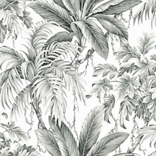 St Andrew Ash Tropical Leaves Wallpaper