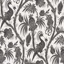 St Paul Black & White Peacook Natural Grasscloth Wallpaper