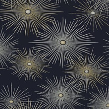 Starburst Geo Geometric Midnight & Gold Peel and Stick Wallpaper