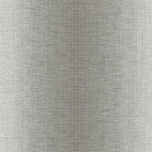 Stardust Grey Ombre Wallpaper