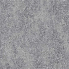 Stark Grey Texture