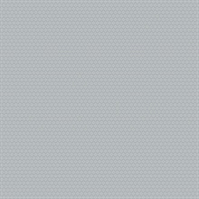 Starwart Light Blue Miniature Floral Wallpaper