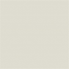 Starwart Light Grey Miniature Floral Wallpaper