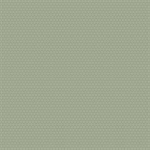 Starwart Sage Miniature Floral Wallpaper