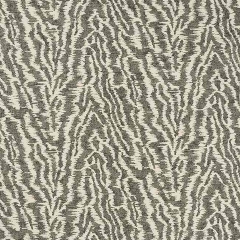Static Texture