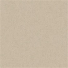 Steno Light Brown Faux Plaster Textured Wallpaper
