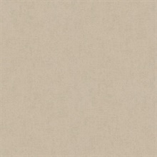 Steno Light Brown Faux Plaster Textured Wallpaper