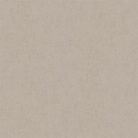 Steno Taupe Faux Plaster Textured Wallpaper