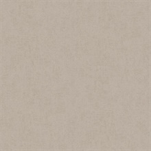 Steno Taupe Faux Plaster Textured Wallpaper
