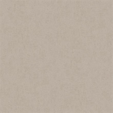 Steno Taupe Faux Plaster Textured Wallpaper