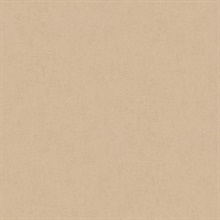 Steno Wheat Faux Plaster Textured Wallpaper