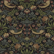 Strawberry Garden Botanical Black Peel and Stick Wallpaper