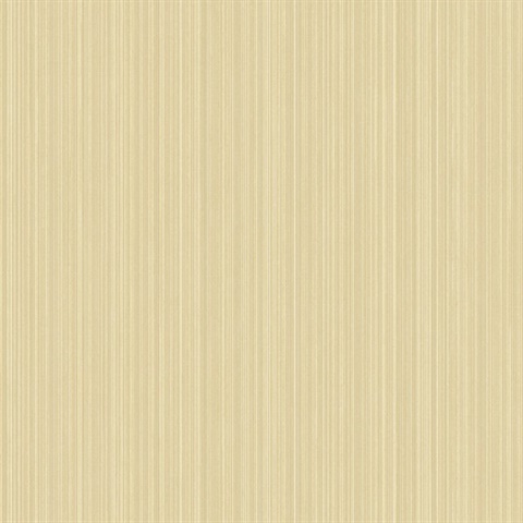 Stria, Stripe/Stripes