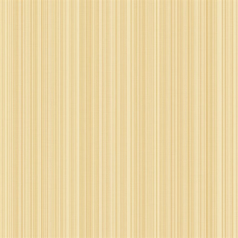 Striped Stria