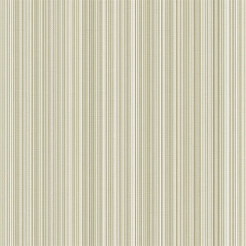 Striped Stria