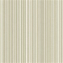 Striped Stria