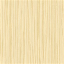 Striped Texture