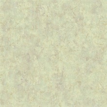 Stucco Finish Faux