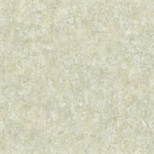 Stucco Finish Faux