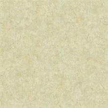 Stucco Finish Faux
