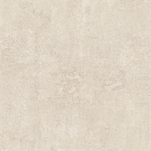 Stucco Texture