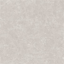 Taupe Stucco Texture Wallpaper