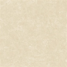 Beige Stucco Texture Wallpaper