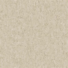 Sugar Faux Plaster Wallpaper