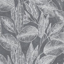 Suki Silver &amp; Dark Grey Modern Silhouette Large Leaf Wallpaper