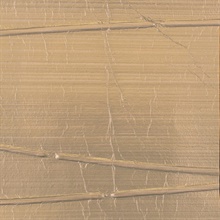 Sullivan Rose Gold Handcrafted Specialty Wallcovering