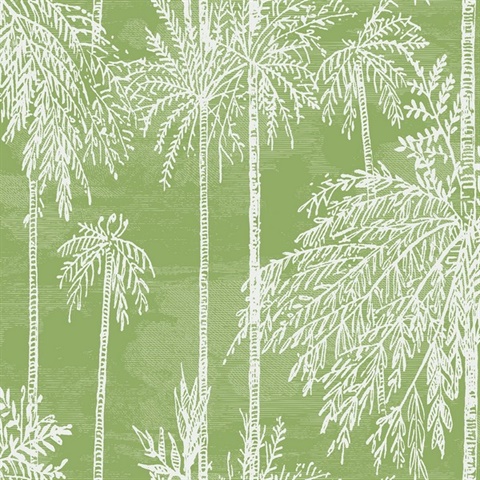 Summer Fern Palm Tree Grove Wallpaper