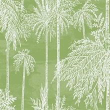 Summer Fern Palm Tree Grove Wallpaper