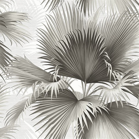 Summer Palm Charcoal Tropical Leaf Wallpaper