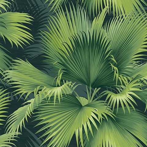 Summer Palm Dark Green Tropical Leaf Wallpaper