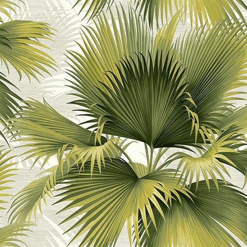 Summer Palm Green Tropical Leaf Wallpaper