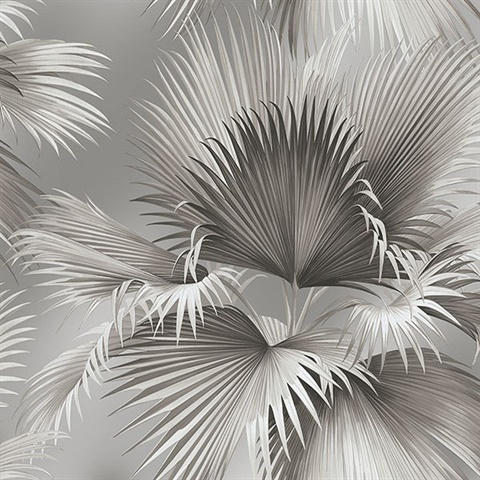 Summer Palm Platinum Tropical Leaf Wallpaper