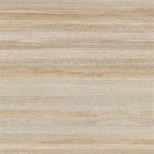 Sundar Grove Mango Bark