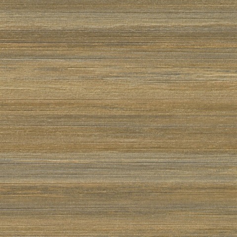 Sundar Grove Saffron Seed