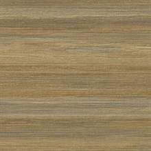 Sundar Grove Saffron Seed