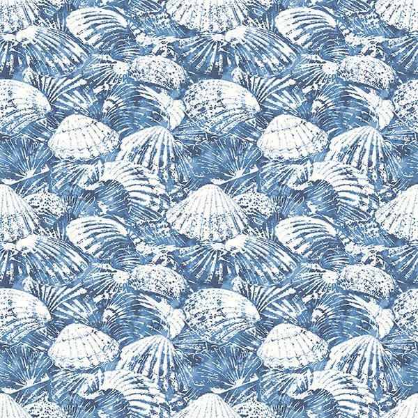 blue seashell wallpaper