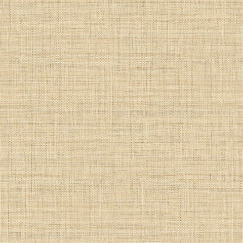 Surya Honey Wallpaper