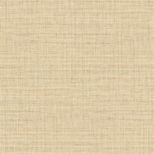 Surya Honey Wallpaper