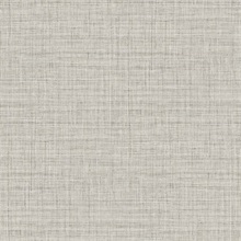 Surya Shell Wallpaper